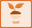 Gardening with soil consideration