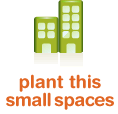 plant this small spaces