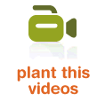 plant this video